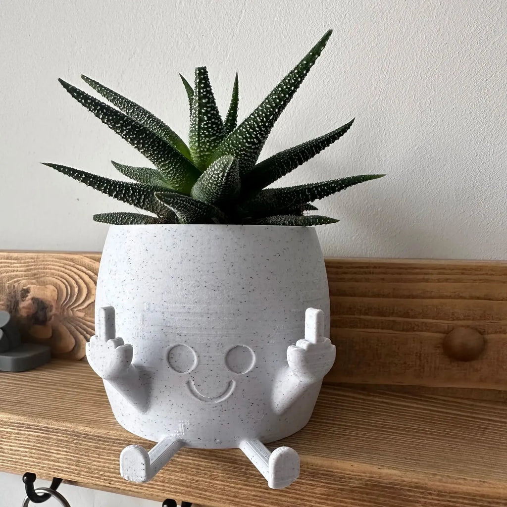 Avtoit | Smiling Plant Pot with Middle Fingers Up