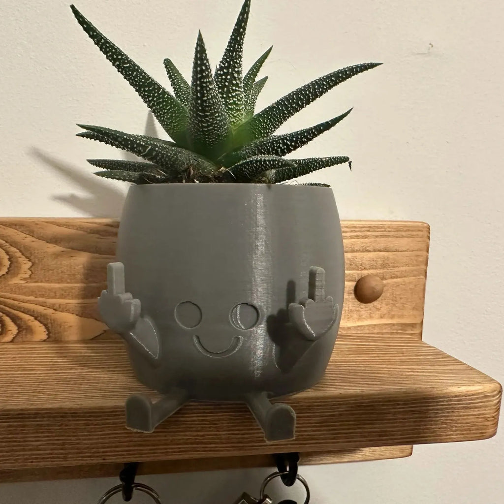 Avtoit | Smiling Plant Pot with Middle Fingers Up