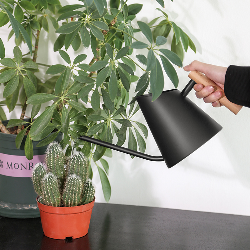 Avtoit | Modern watering can with wooden handle – Stylish watering can for plants in the garden