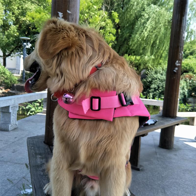 Avtoit | Dog Swim Safety Jacket