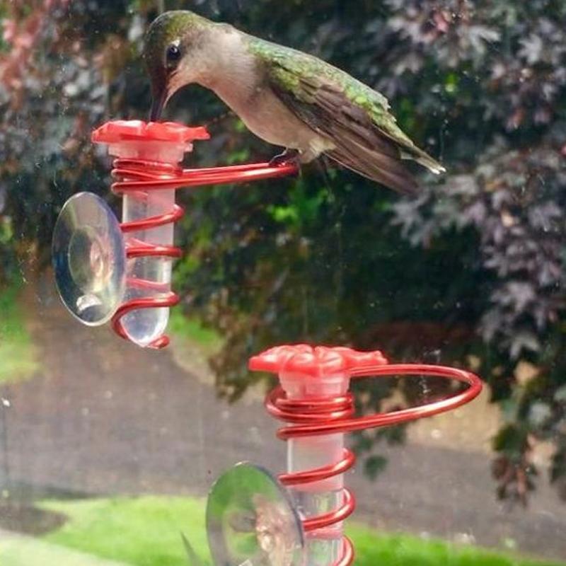 Avtoit | Window Hummingbird Feeder