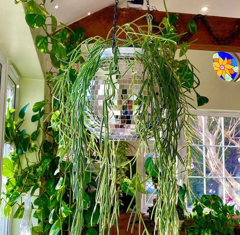 Avtoit | Disco Ball Hanging Planter