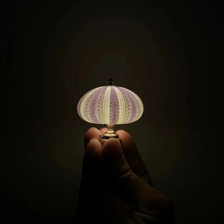 Avtoit | LumiCraft – Unique DIY table lamp with natural sea shell for a cozy décor