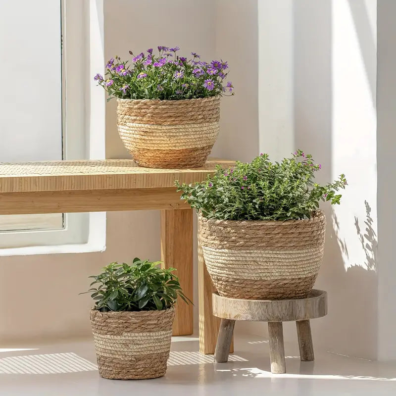 Avtoit | Decorative plant baskets made of seagrass in a set of 3 – Handwoven flower pots with foil insert