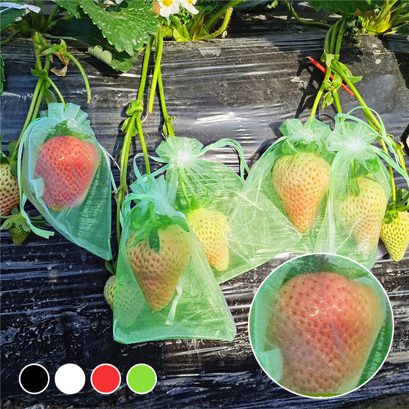Avtoit | Fruit Protection Bag (100 PCS)