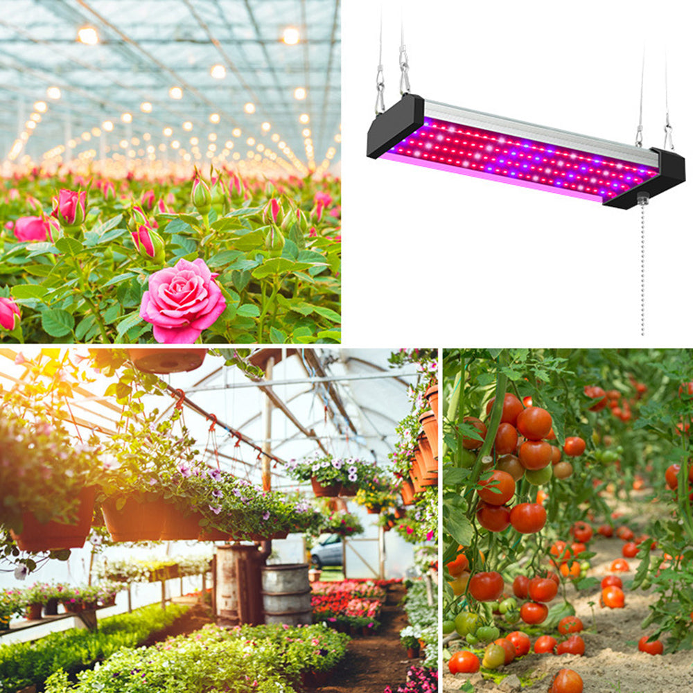 Avtoit | LED plant lamp with full spectrum lighting and pull switch for optimal plant growth