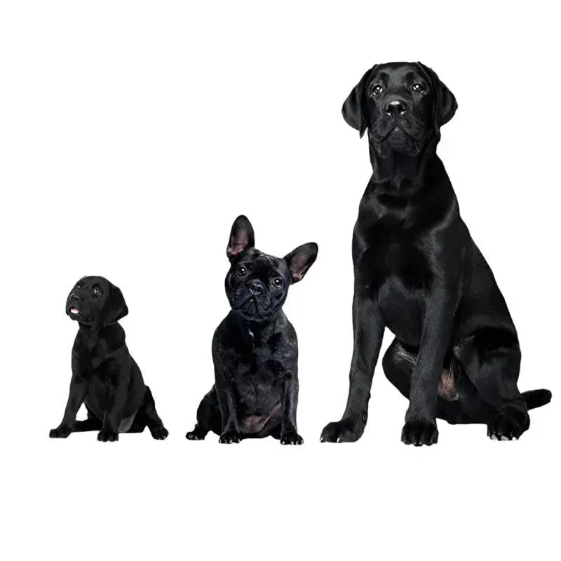 Avtoit | Ultrasonic Dog Repeller – USB Rechargeable Anti-Bark Training Device for All Breeds