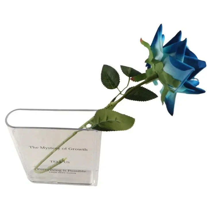 Avtoit | Acrylic Book Vase – Modern Design with Invisible Book Look
