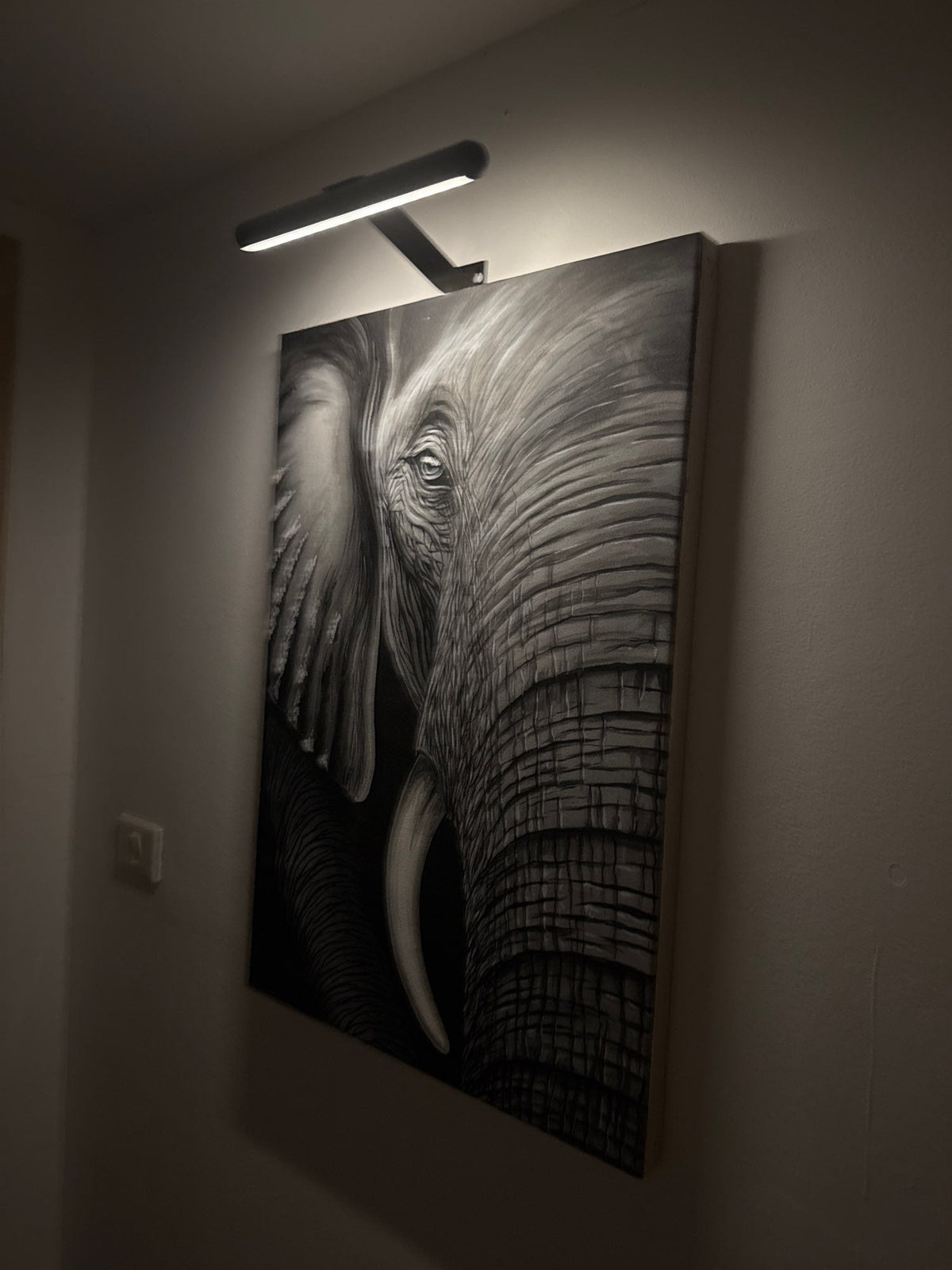 Avtoit | ArtGlow Wireless LED Picture Light – Rechargeable Wall Lamp with Remote & Adjustable Dimming