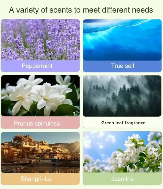 Avtoit | Automatic Aromatherapy Diffuser – 5-level Timer with Highly Pure Essential Oil