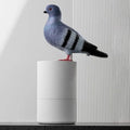 Avtoit | Automatic Dove Soap Dispenser – Touchless for Maximum Hygiene