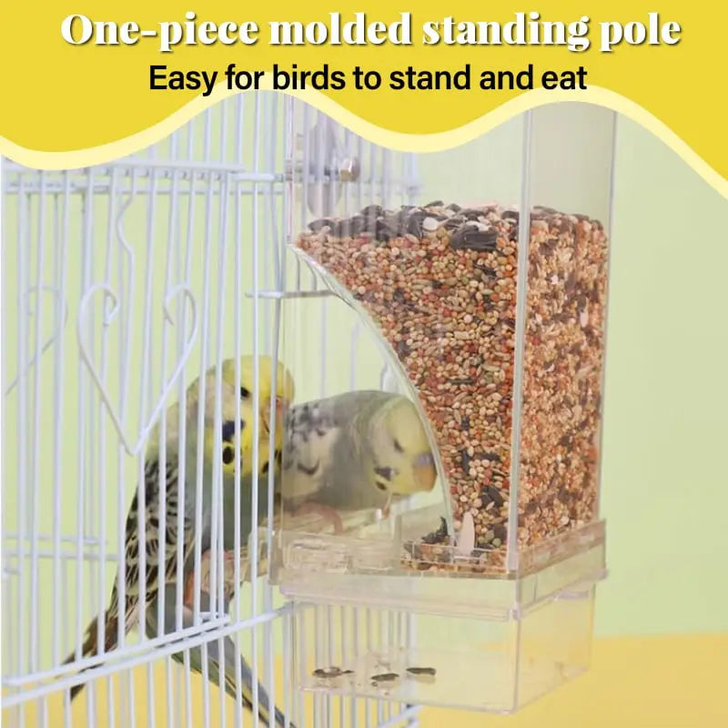 Avtoit | Automatic Bird Feeder – No Mess, No Stress
