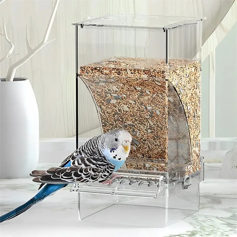 Avtoit | Automatic Bird Feeder – No Mess, No Stress