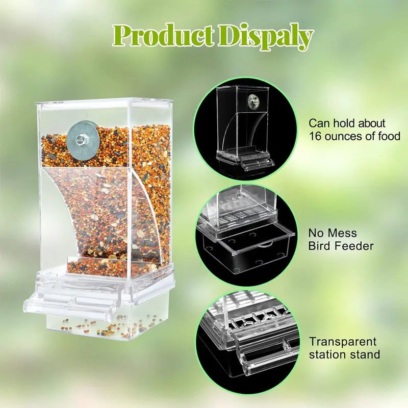 Avtoit | Automatic Bird Feeder – No Mess, No Stress