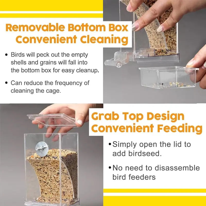 Avtoit | Automatic Bird Feeder – No Mess, No Stress