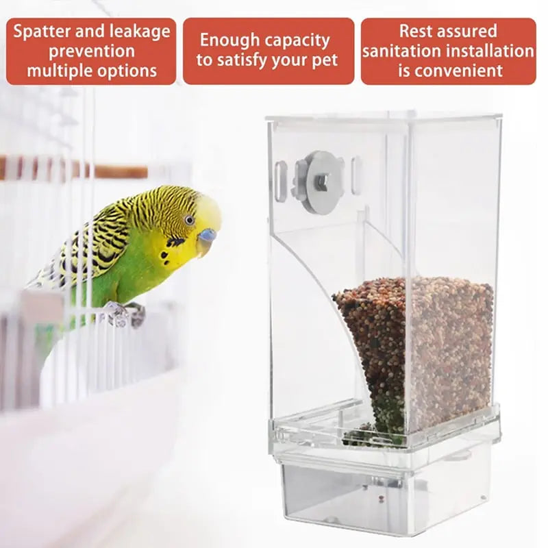Avtoit | Automatic Bird Feeder – No Mess, No Stress