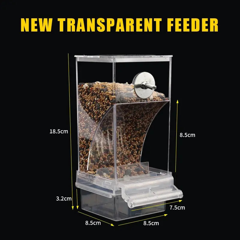 Avtoit | Automatic Bird Feeder – No Mess, No Stress