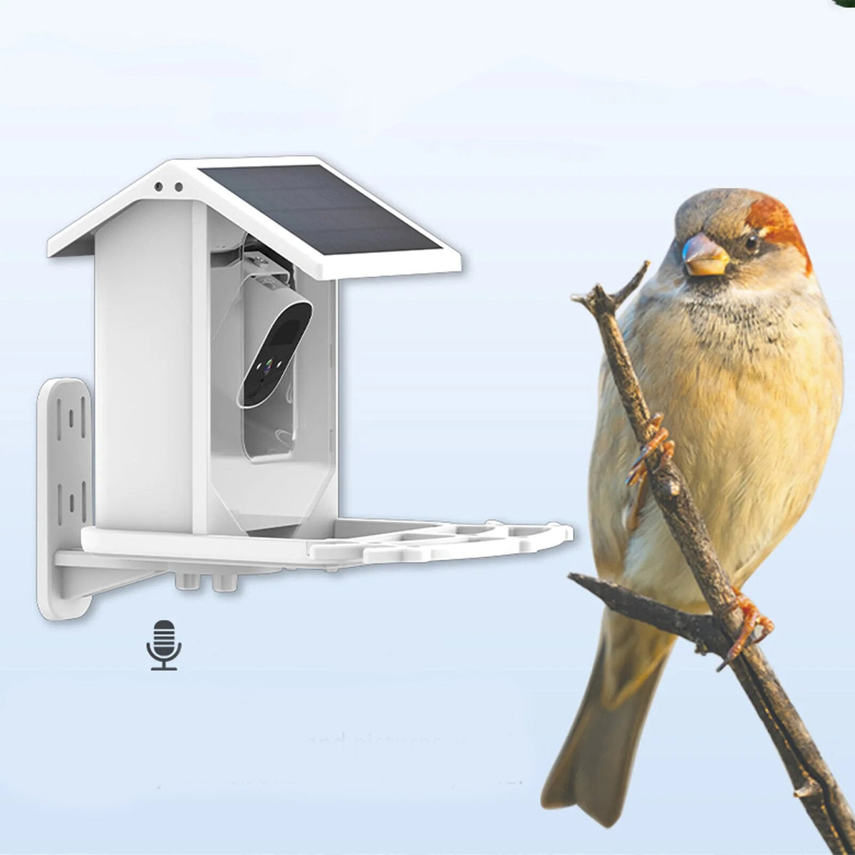 Avtoit | Smart Solar Bird Feeder with Bird Recognition – Weatherproof Garden Feeder
