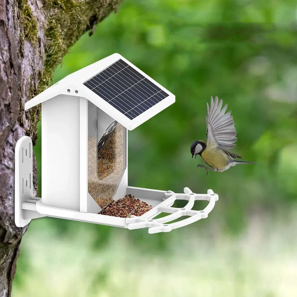 Avtoit | Smart Solar Bird Feeder with Bird Recognition – Weatherproof Garden Feeder