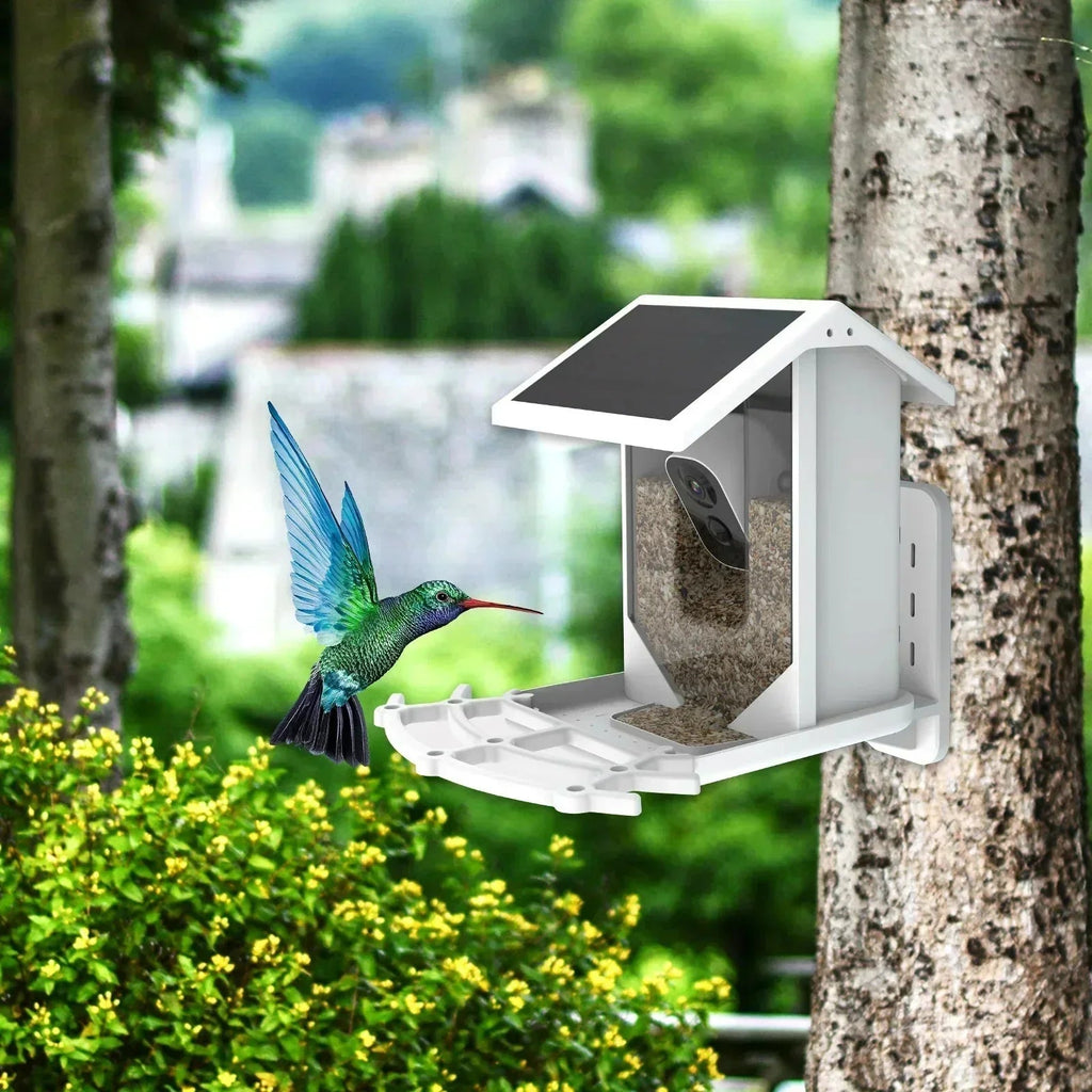Avtoit | Smart Solar Bird Feeder with Bird Recognition – Weatherproof Garden Feeder