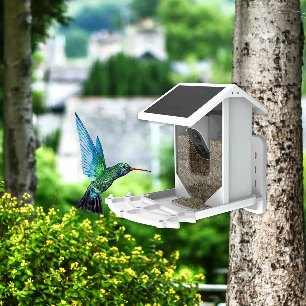 Avtoit | Smart Solar Bird Feeder with Bird Recognition – Weatherproof Garden Feeder