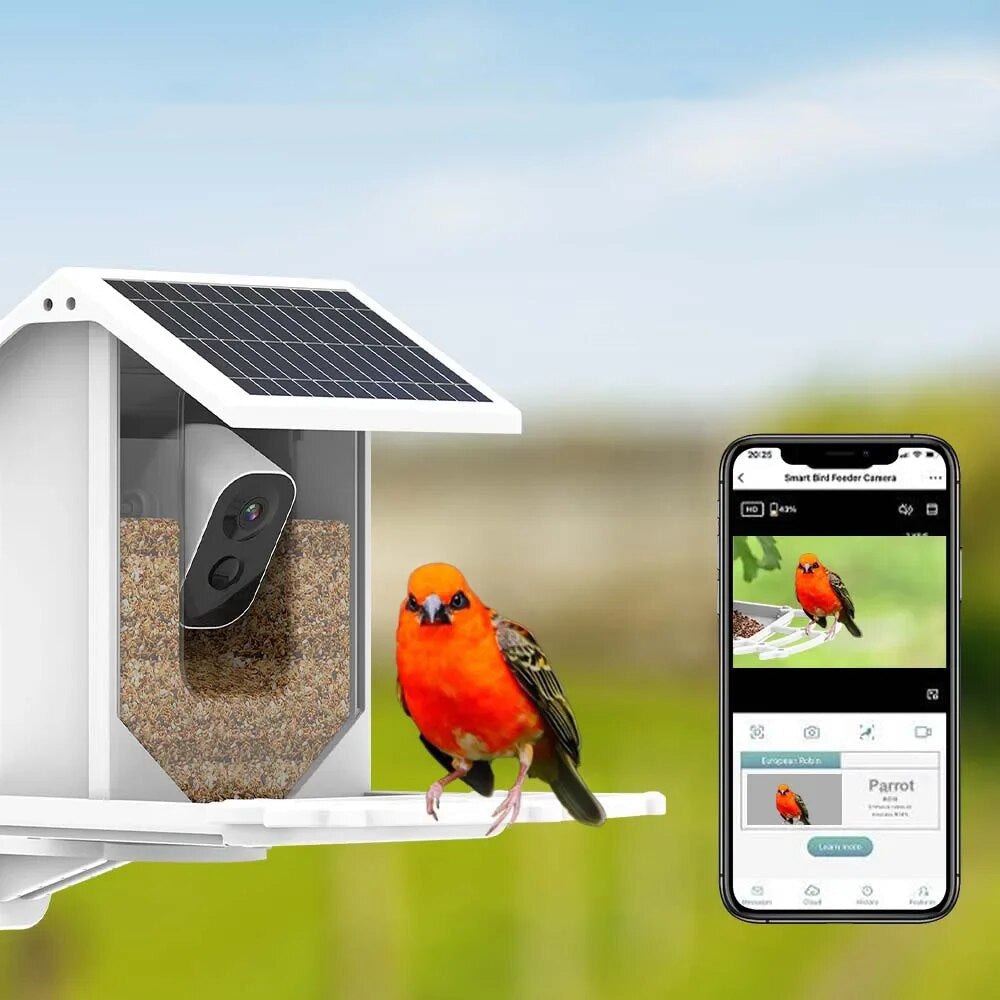 Avtoit | Smart Solar Bird Feeder with Bird Recognition – Weatherproof Garden Feeder