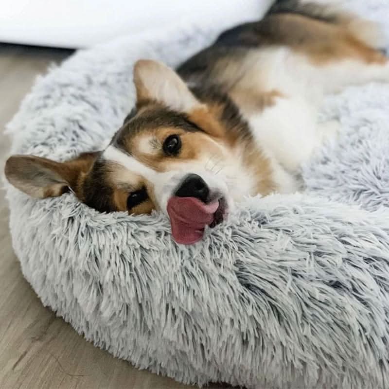 Avtoit | Anti-Stress Dog Bed with Soft Faux Fur & Supportive Padding