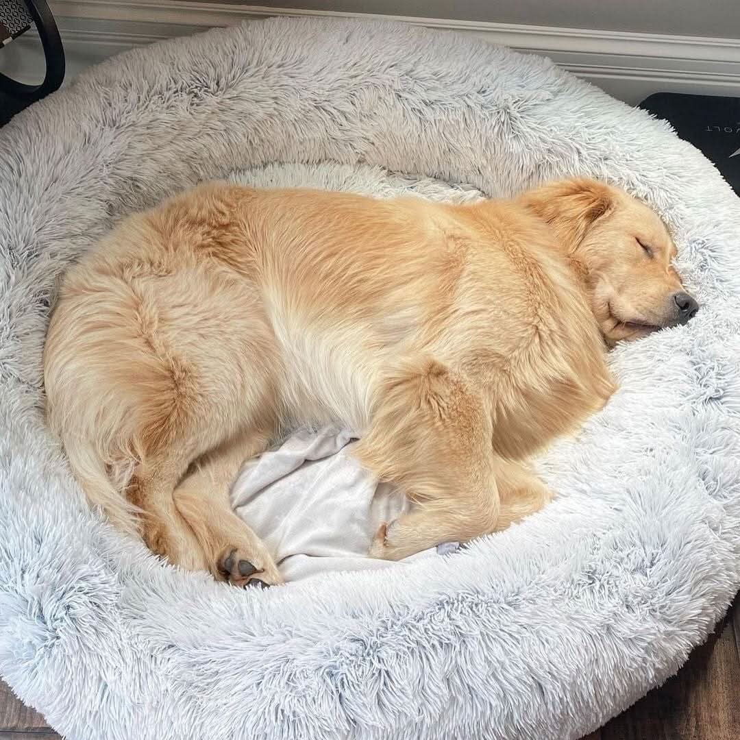 Avtoit | Anti-Stress Dog Bed with Soft Faux Fur & Supportive Padding
