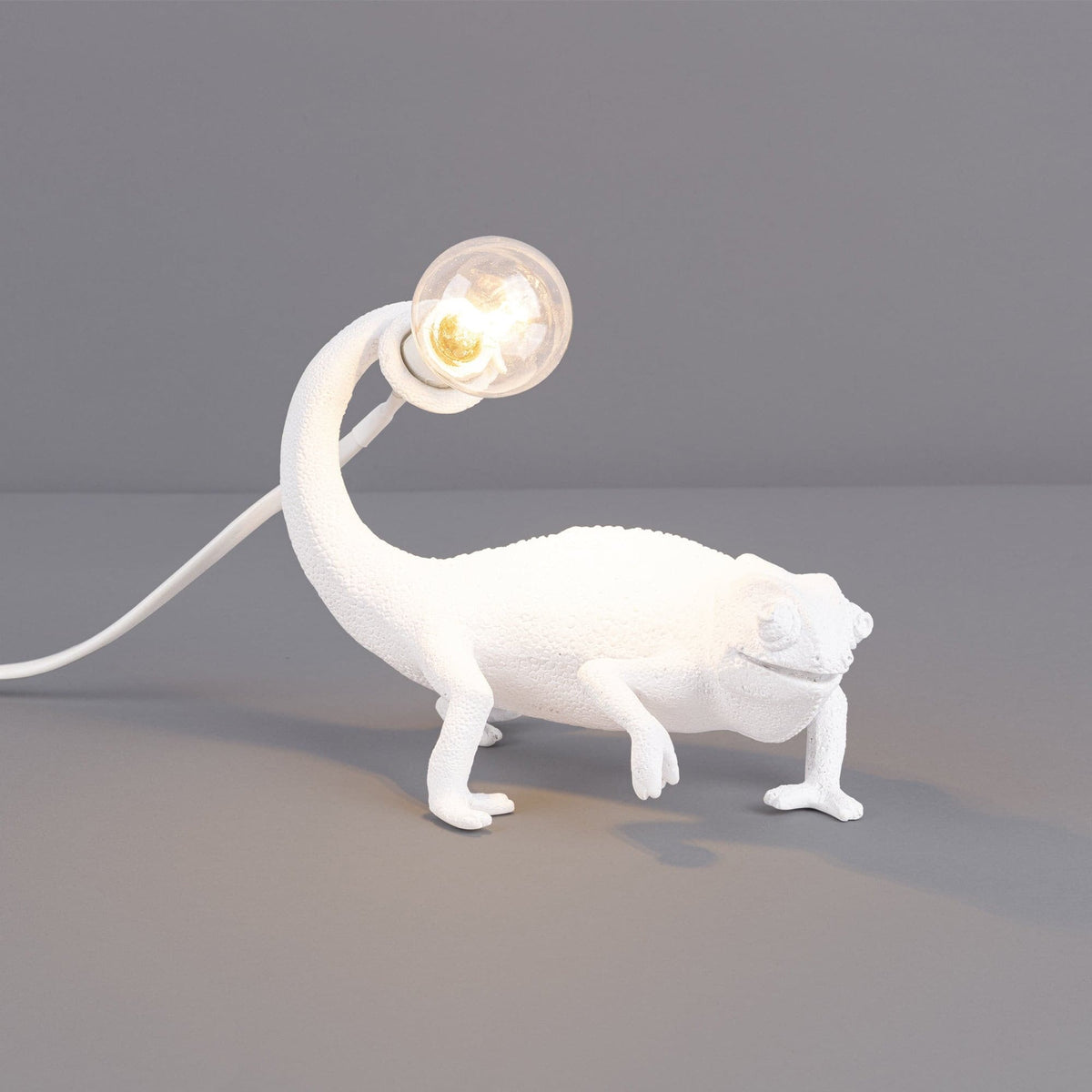 Avtoit | CamouGlow – Resin Table Lamp with Charming Chameleon Detail