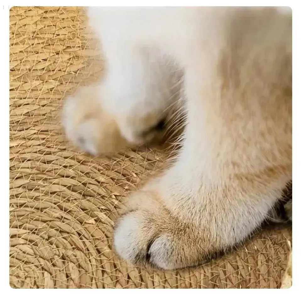 Avtoit | Cozypets – Super soft and comfortable cat bed