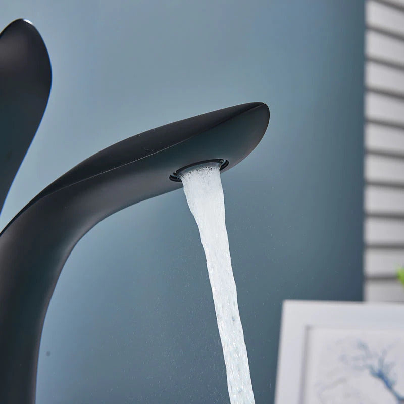 Avtoit | Luxurious modern bathroom faucet