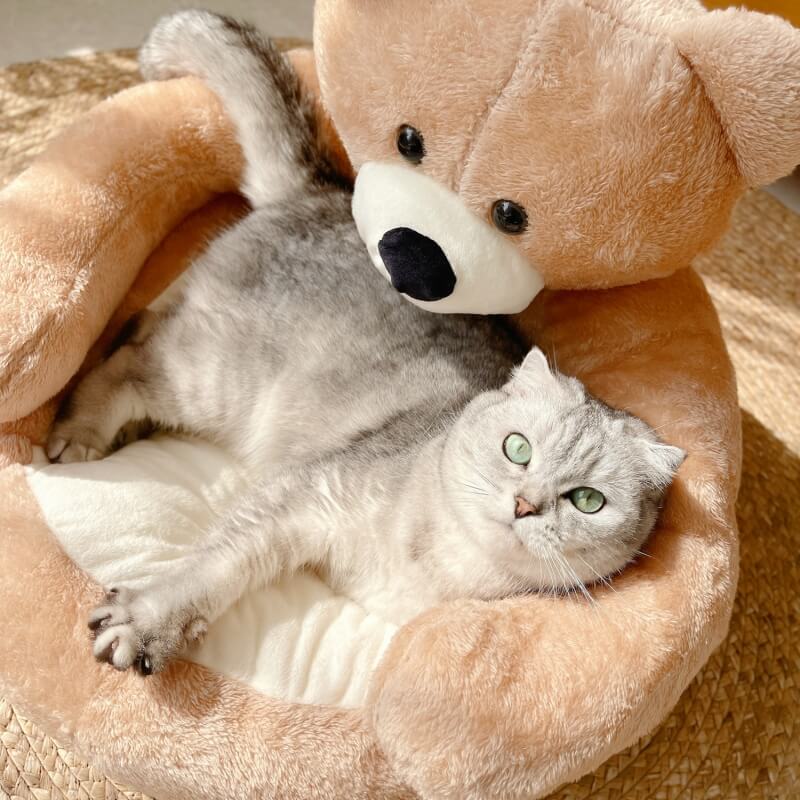 Avtoit | Cute detachable cuddly bear cat bed