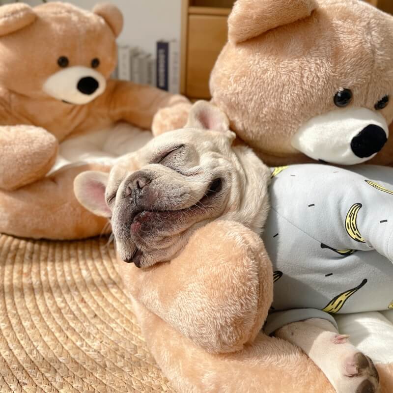 Avtoit | Cute detachable cuddly bear cat bed