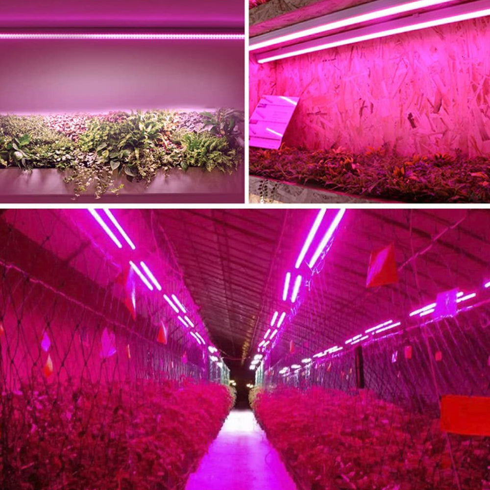 Avtoit | LED plant lamp with full spectrum lighting and pull switch for optimal plant growth