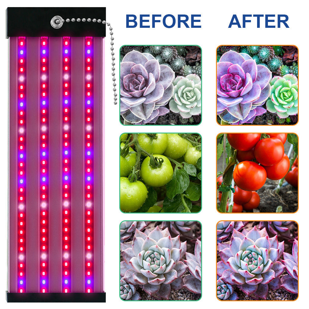 Avtoit | LED plant lamp with full spectrum lighting and pull switch for optimal plant growth