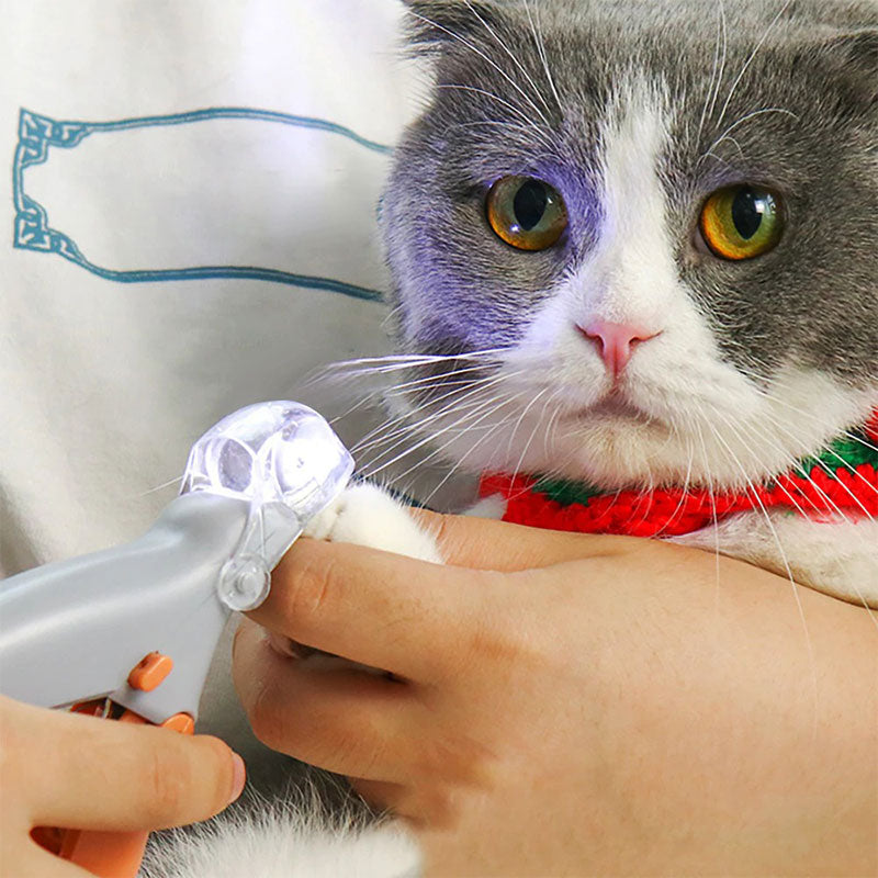 Avtoit | Best Dog Nail Clipper With Quick Sensors