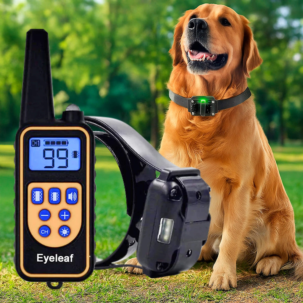 Avtoit | 800M Rechargeable Electric Dog Training Collar | Waterproof, Remote Control & Ideal for Effective Dog Training