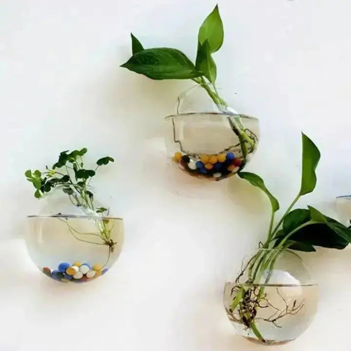 Avtoit | Elegant Glass Wall Vases – For Cuttings & Decor