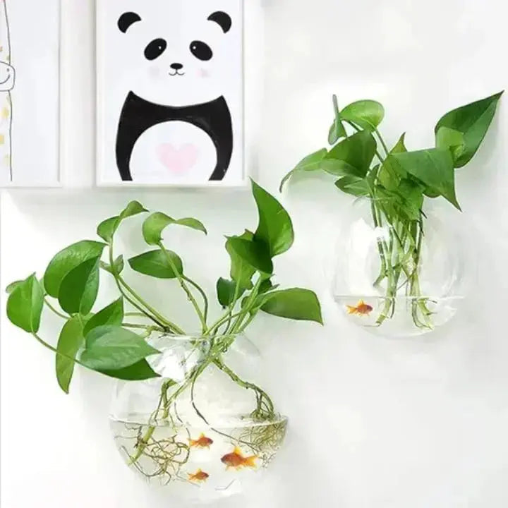 Avtoit | Elegant Glass Wall Vases – For Cuttings & Decor