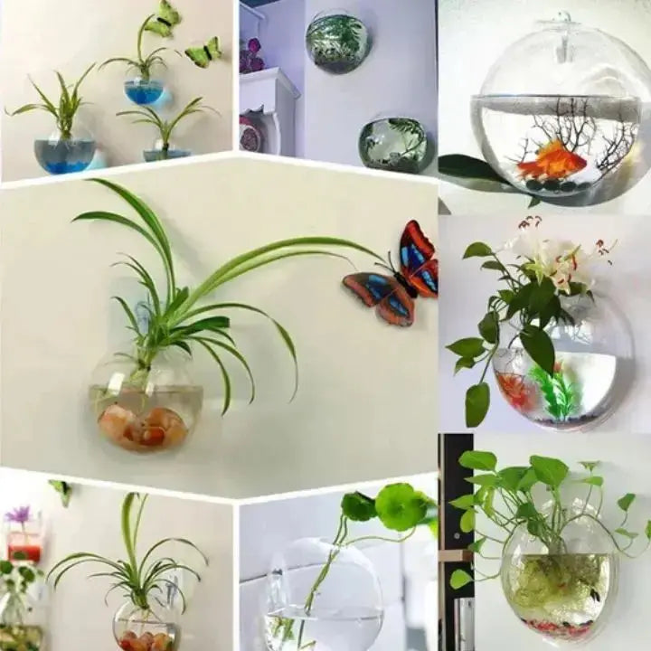 Avtoit | Elegant Glass Wall Vases – For Cuttings & Decor
