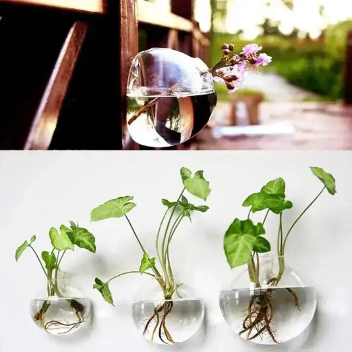 Avtoit | Elegant Glass Wall Vases – For Cuttings & Decor