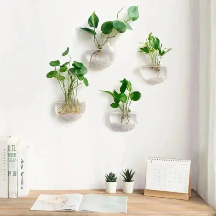Avtoit | Elegant Glass Wall Vases – For Cuttings & Decor
