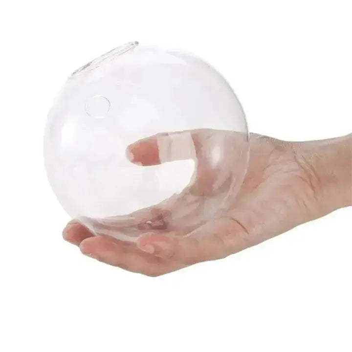 Avtoit | Elegant Glass Wall Vases – For Cuttings & Decor