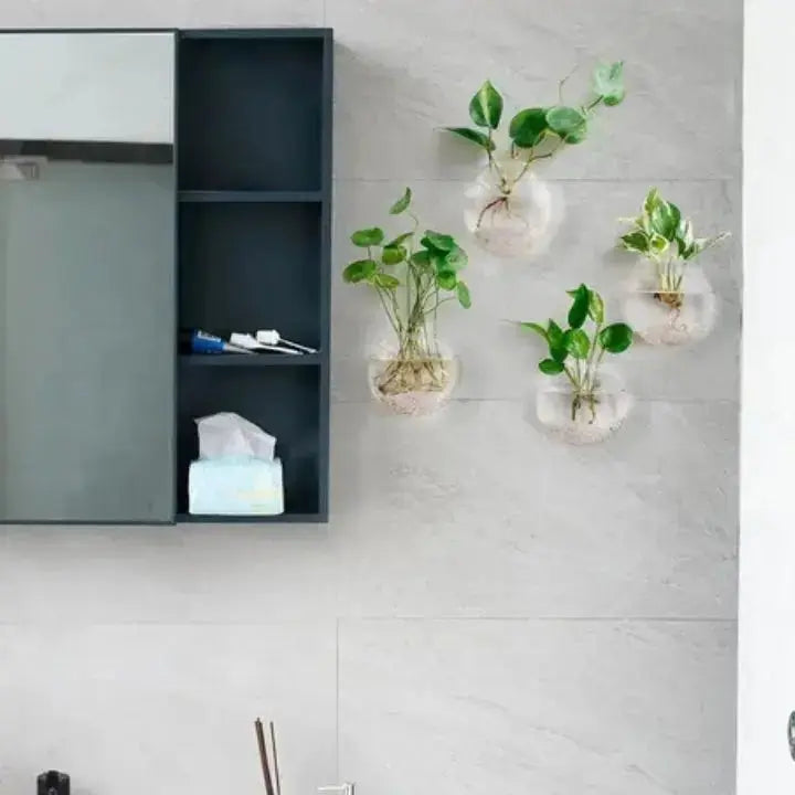 Avtoit | Elegant Glass Wall Vases – For Cuttings & Decor