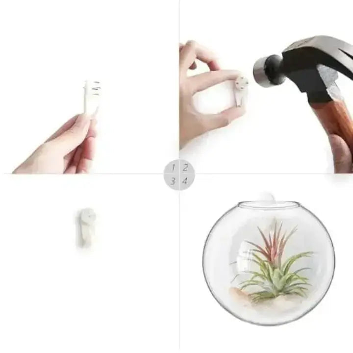 Avtoit | Elegant Glass Wall Vases – For Cuttings & Decor