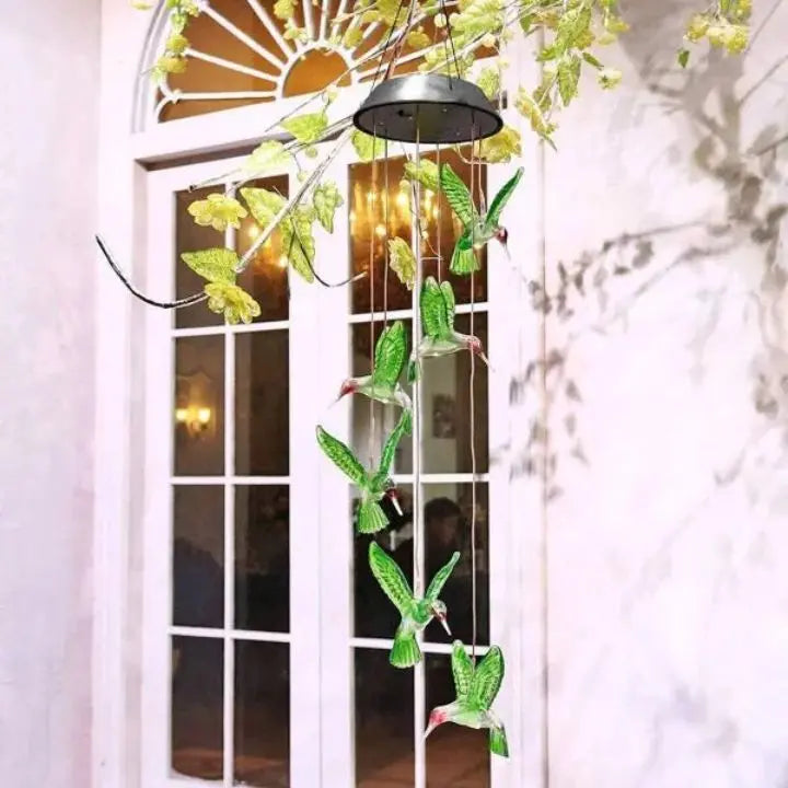 Avtoit | Elegant Solar-Powered Garden Lights
