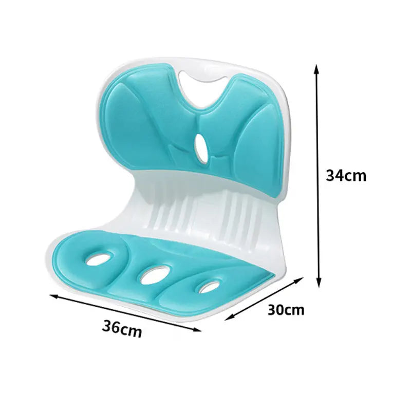 Avtoit | Ergonomic Lumbar Support Cushion