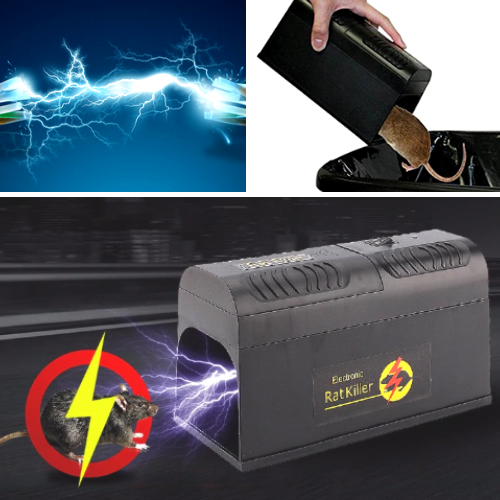 Avtoit | The Best Electric Mouse Trap