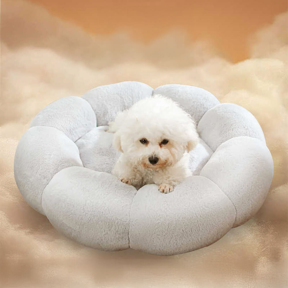 Avtoit | Flower Heat Full Support Washable Decoration Dog & Cat Bed