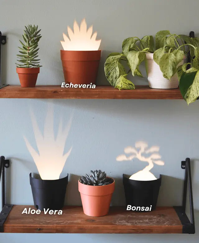 Avtoit | Garden-Graveyard-Plant Pot with LED Light Projection